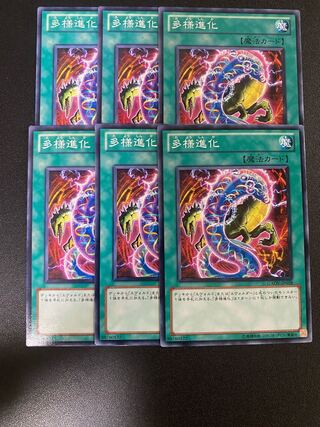 多様進化 ノーマル JP058