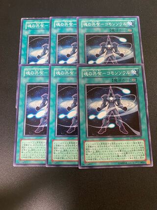 魂の共有-コモンソウル ノーマル JP045