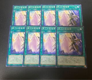 旅人の結彼岸 ノーマル JP017