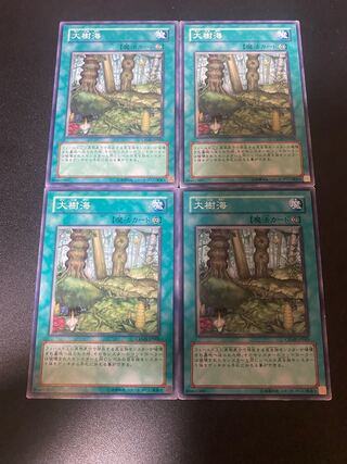 大樹海 ノーマル JP060