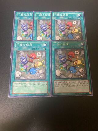 一族の結束 レア JP029