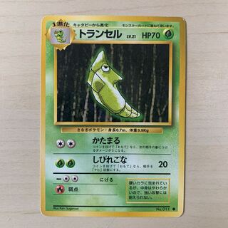 Early Metapod Old Back