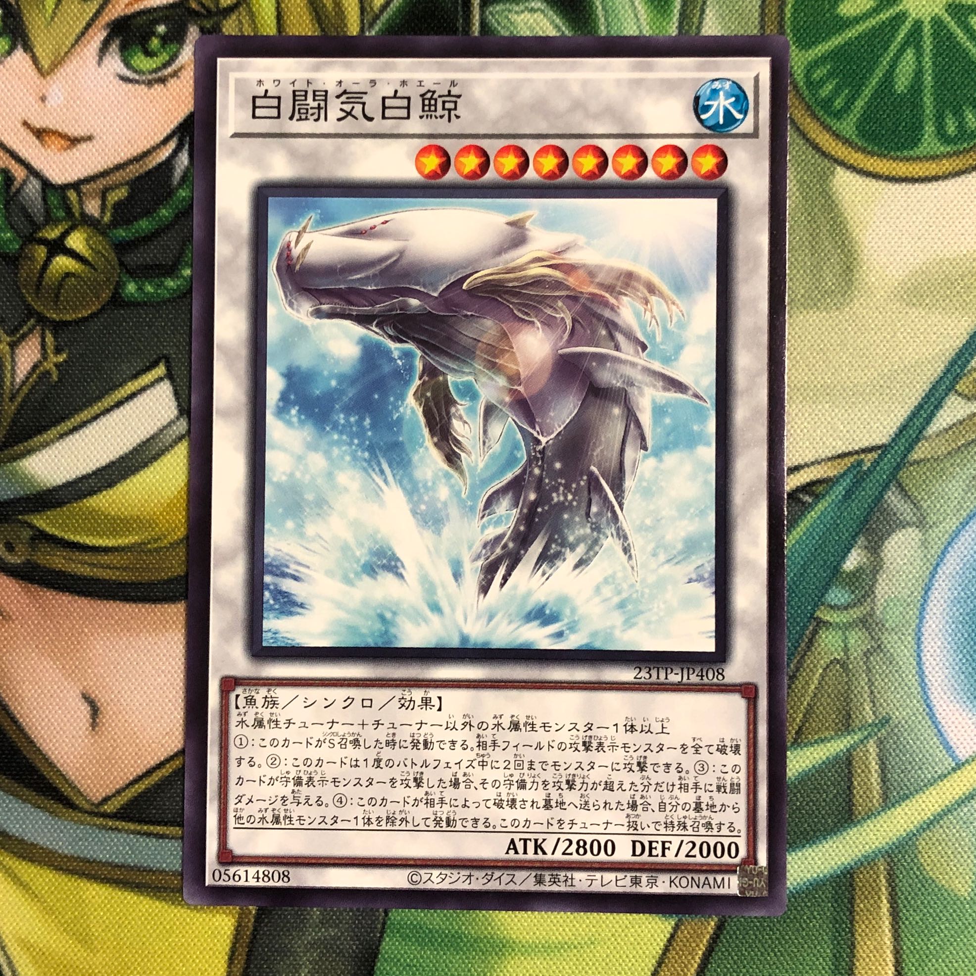 White Aura Whale Normal