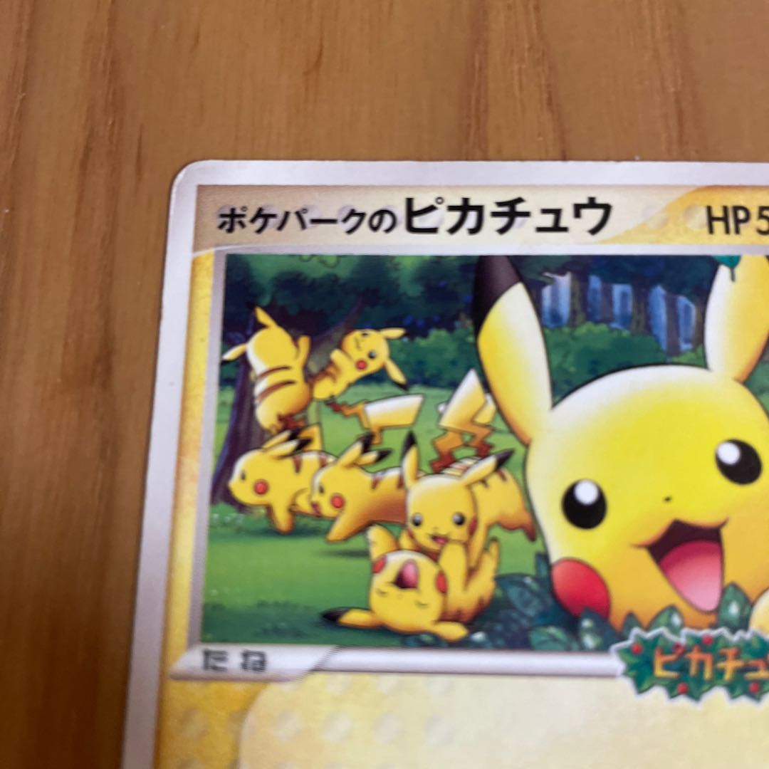 ポケパークのピカチュウ 1枚の通販 きっきー（1106992161） | magi