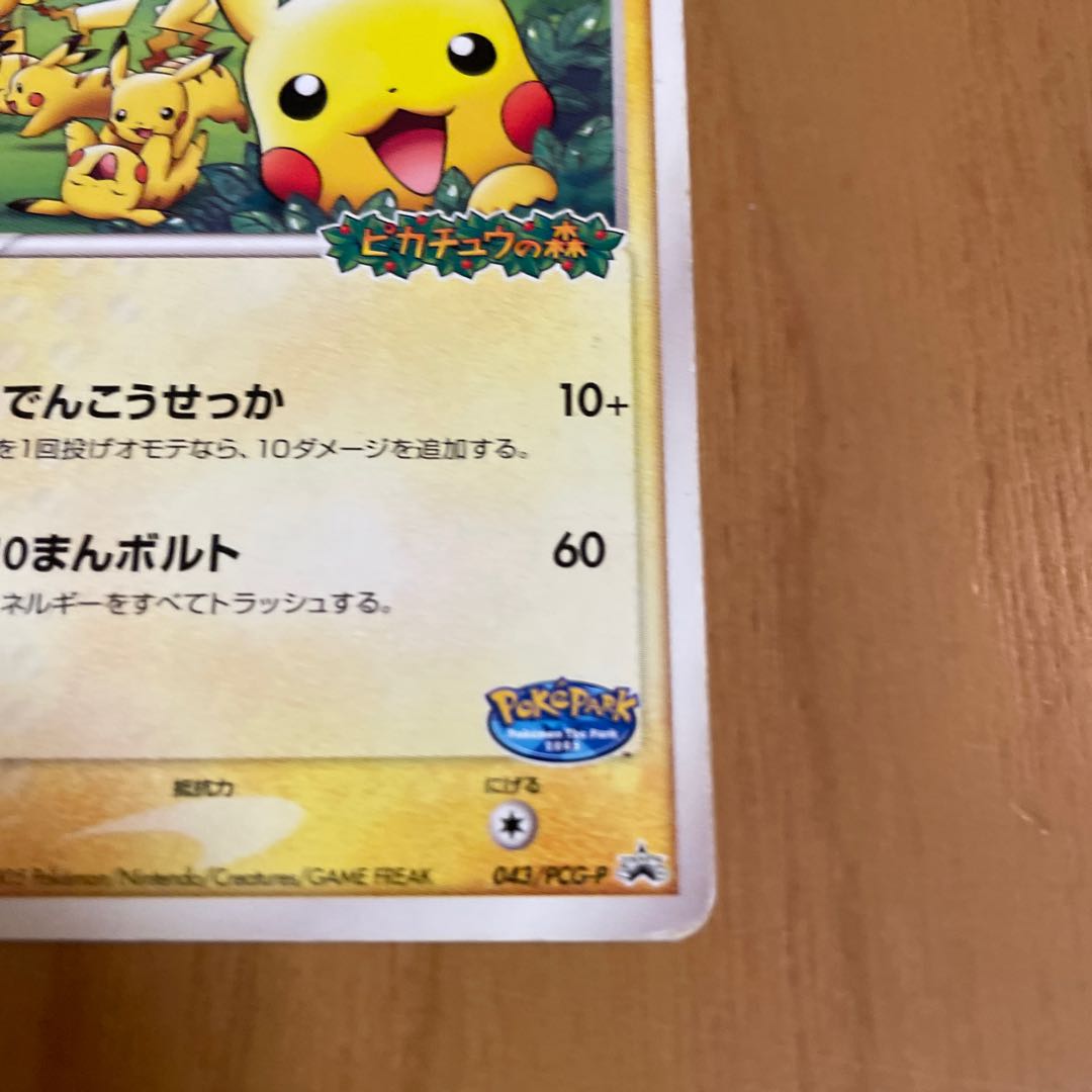 ポケパークのピカチュウの通販 きっきー（1106992161） | magi