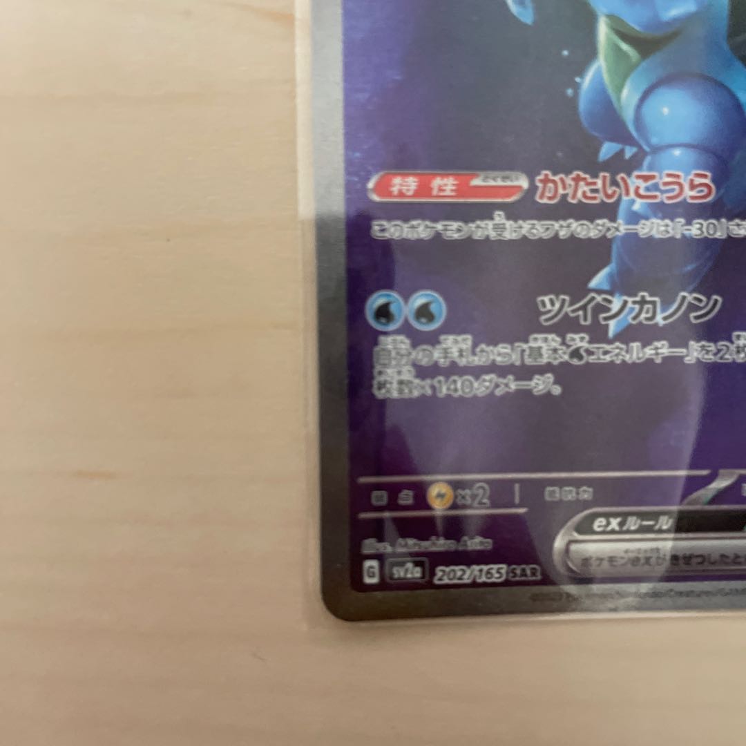 Blastoiseex SAR 202/165