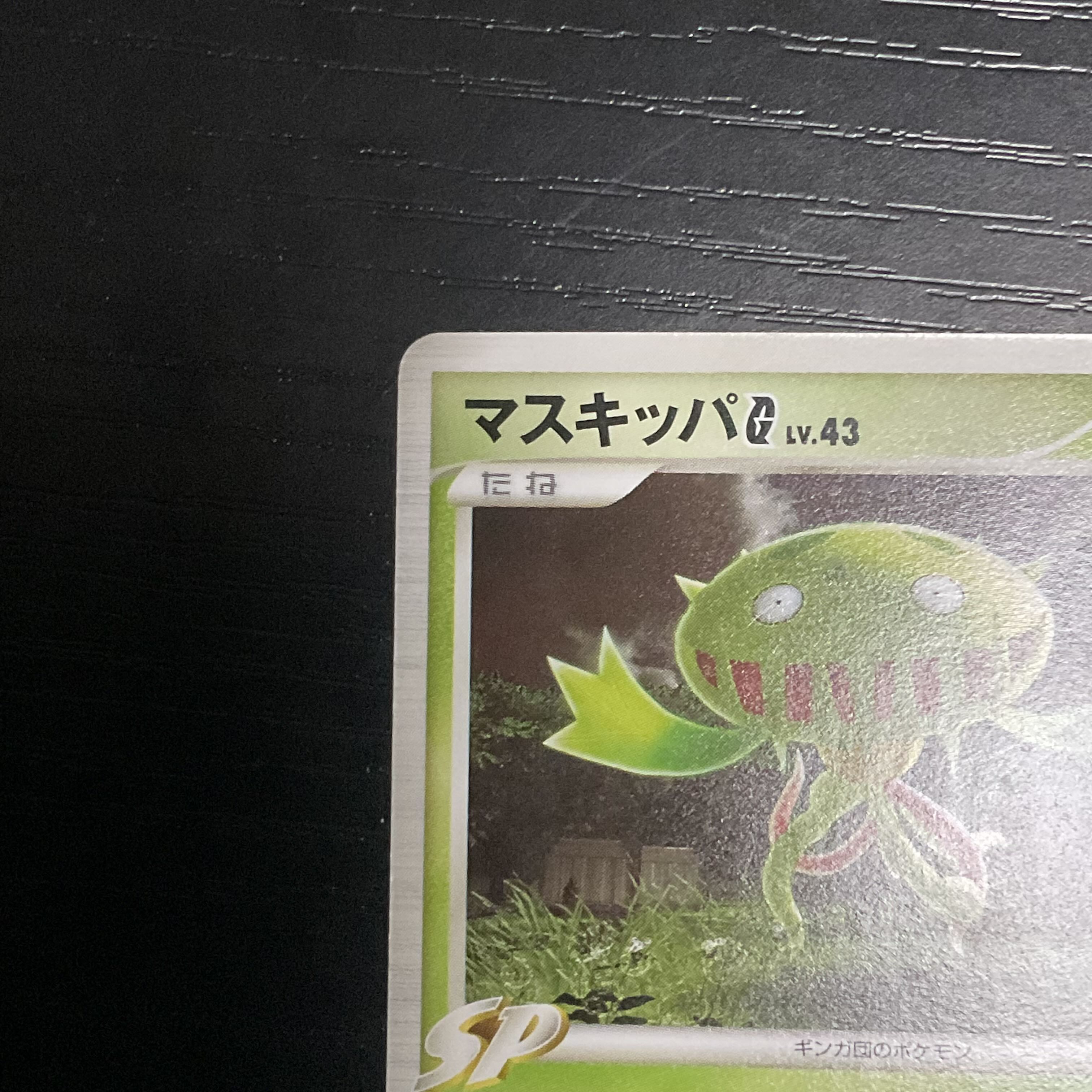 Opened] Carnivine G 001/DPt-P PROMO 2008