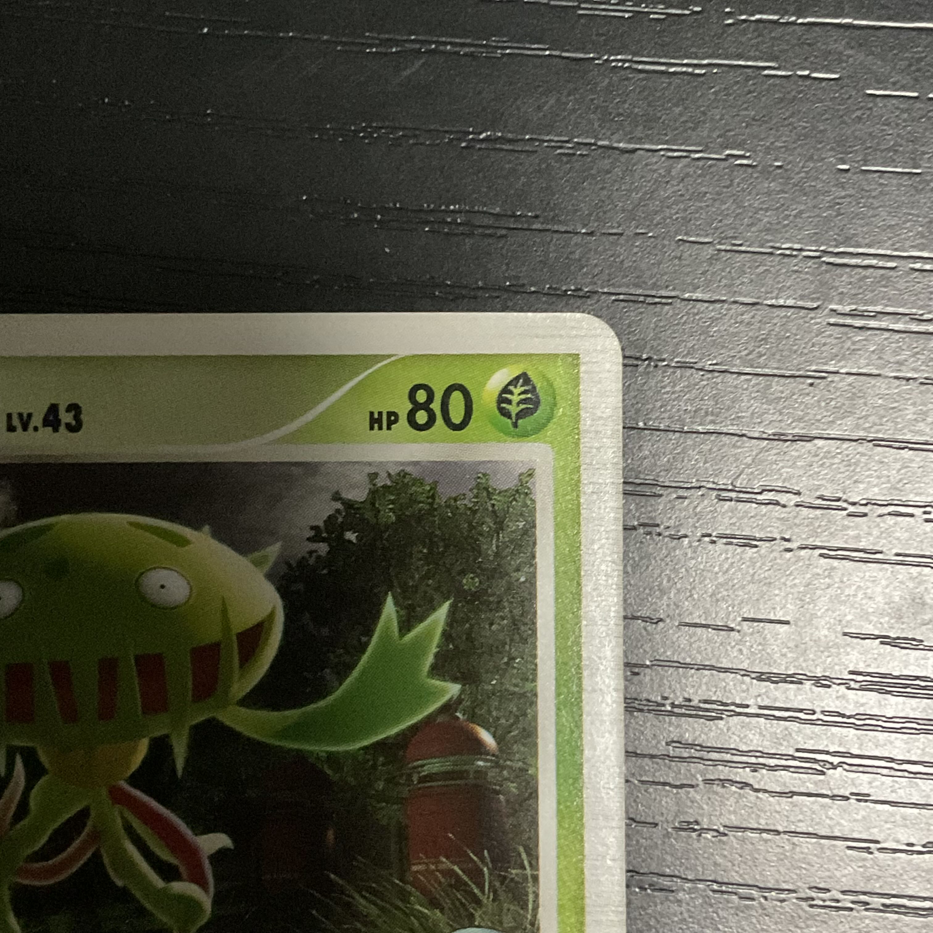 Opened] Carnivine G 001/DPt-P PROMO 2008