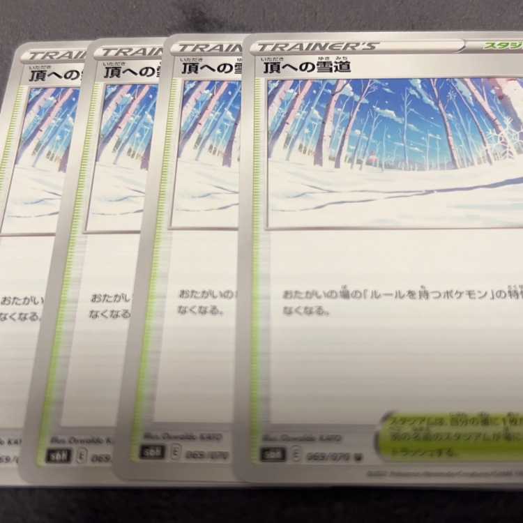 頂への雪道 165/172