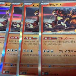 エンテイ R 016/108