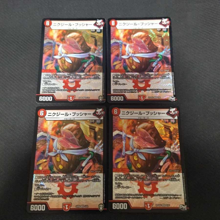 ニクジール・ブッシャー VR 4枚