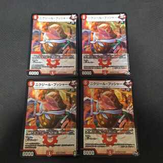 ニクジール・ブッシャー VR 4枚