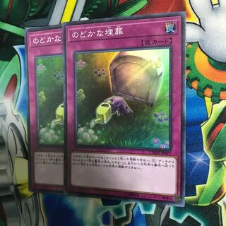 のどかな埋葬 2枚