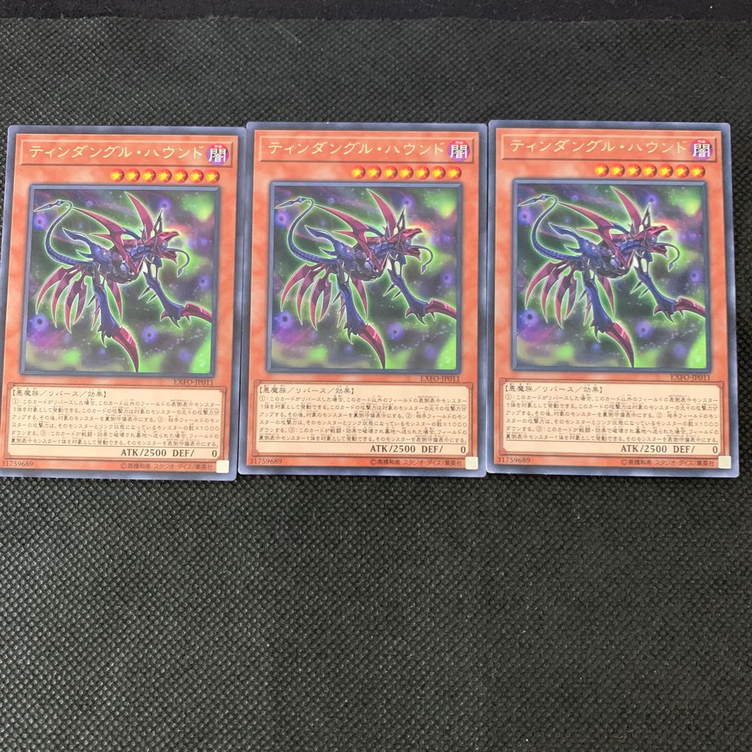 ティンダングル・ハウンド