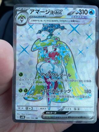 Tsareenaex SR 080/066