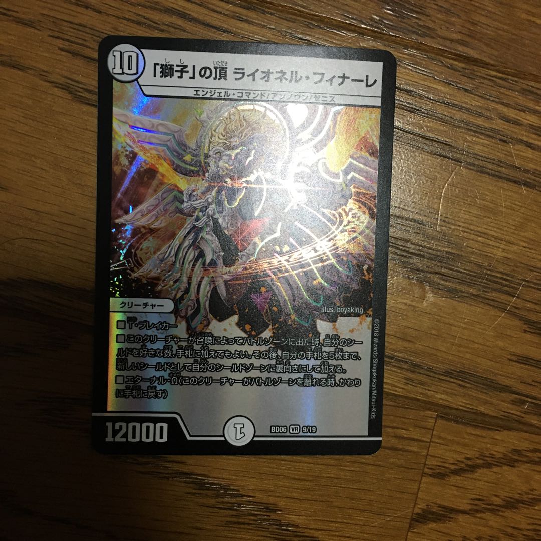 「獅子」の頂 ライオネル・フィナーレ