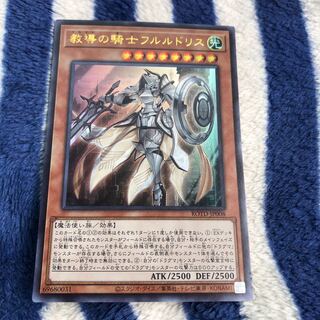 教導の騎士フルルドリス