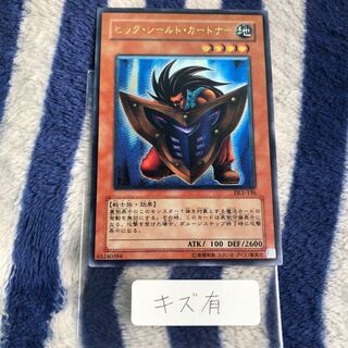 ビッグシールドガードナー