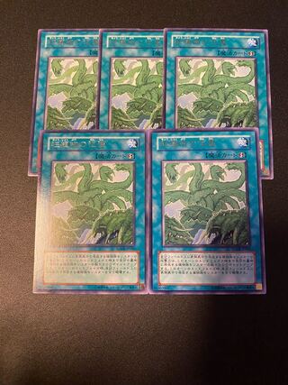 狂植物の氾濫 レア JP060