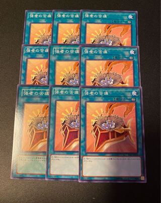 強者の苦痛 ノーマル JP022