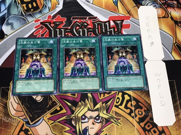 王家の生け贄 ノーマル 3枚セット