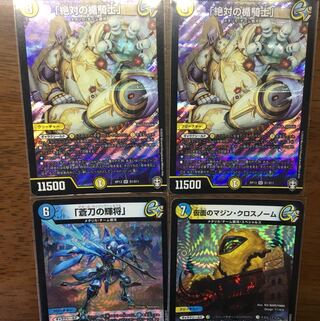 saikoonoega0様専用「絶対の楯騎士」