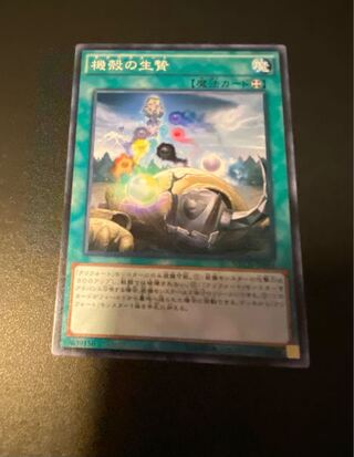 機殻の生贄 ノーマル JP064