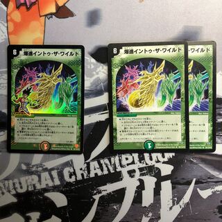 爆進イントゥ・ザ・ワイルド