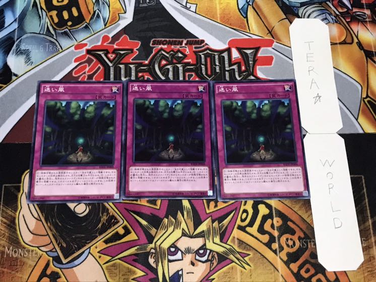 迷い風 ノーマル 3枚セット