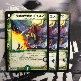 反射の大地カプリコン