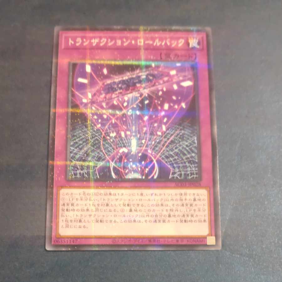 トランザクション・ロールバック パラレル ノーマル JP028 【木林堂】