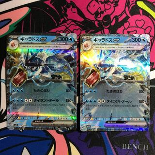 ポケモンカード英語版　まとめ売り　レジロックex　ギャラドス　ライチュウ など ポケモンカード英語版 まとめ売り レジロックex ギャラドス