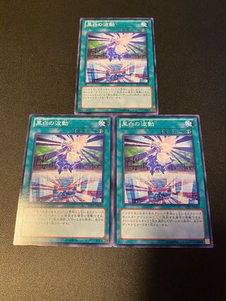 黒白の波動 ノーマル JP068