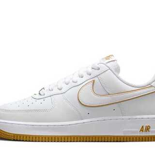 Nike Air Riryoku 1 '07 "Ho Wight/Bronze Jean" 29cm