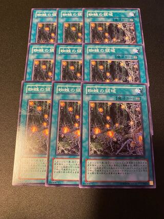 蜘蛛の領域 ノーマル JP054