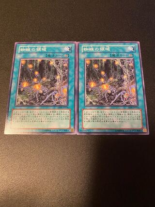 蜘蛛の領域 ノーマル JP054