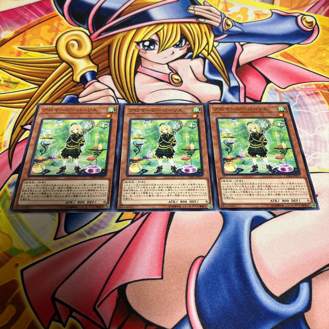 Aromage - Laurier Normal JP017