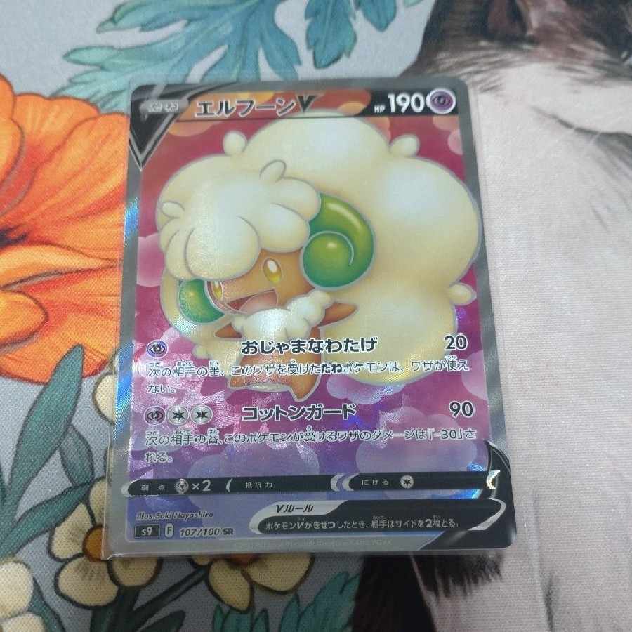 WhimsicottV SR 107/100