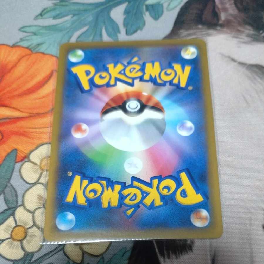 WhimsicottV SR 107/100