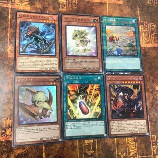 遊戯王★究極進化薬、オーバーテクス・ゴアトルス、プチラノドン等★