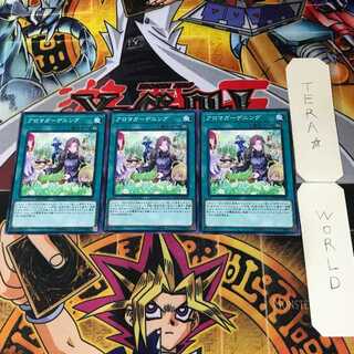 アロマガーデニング 2 ノーマル 3枚セット てら