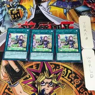 アロマガーデニング 3 ノーマル 3枚セット てら