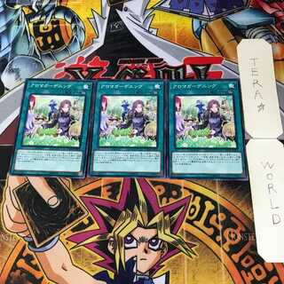 アロマガーデニング 8 ノーマル 3枚セット てら