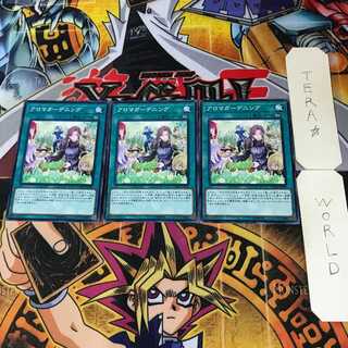 アロマガーデニング 12 ノーマル 3枚セット てら