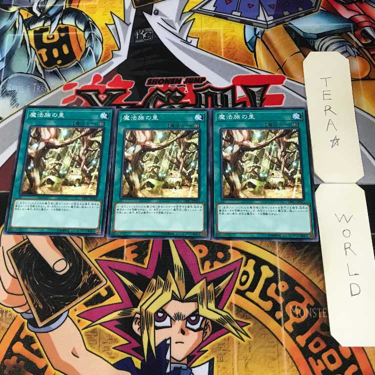 魔法族の里 10 ノーマル 3枚セット てら