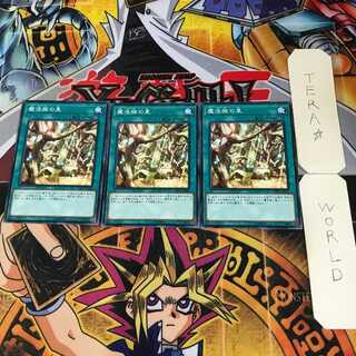 魔法族の里 10 ノーマル 3枚セット てら