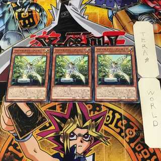 Aromatheraphy - Angelica 9 Normal, set of 3, Terra