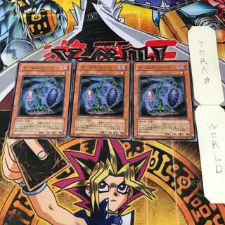 Evil Thorn 10 Normal, set of 3 Tera.