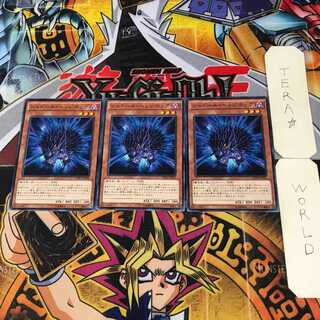 Shaddoll Hedgehog 8 Normal, set of 3 Tera