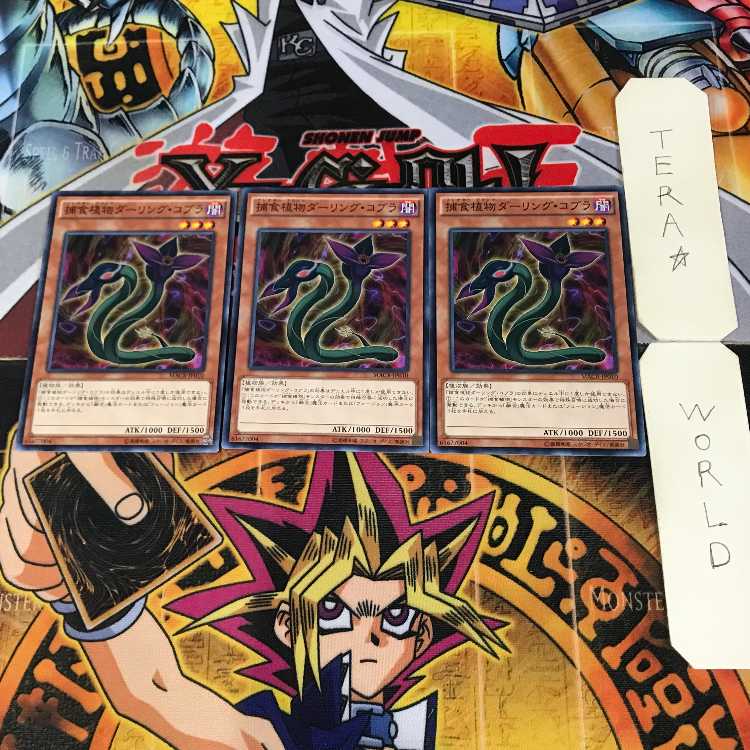 Predaplant Darlingtonia Cobra 1 Normal Set of 3 Tera